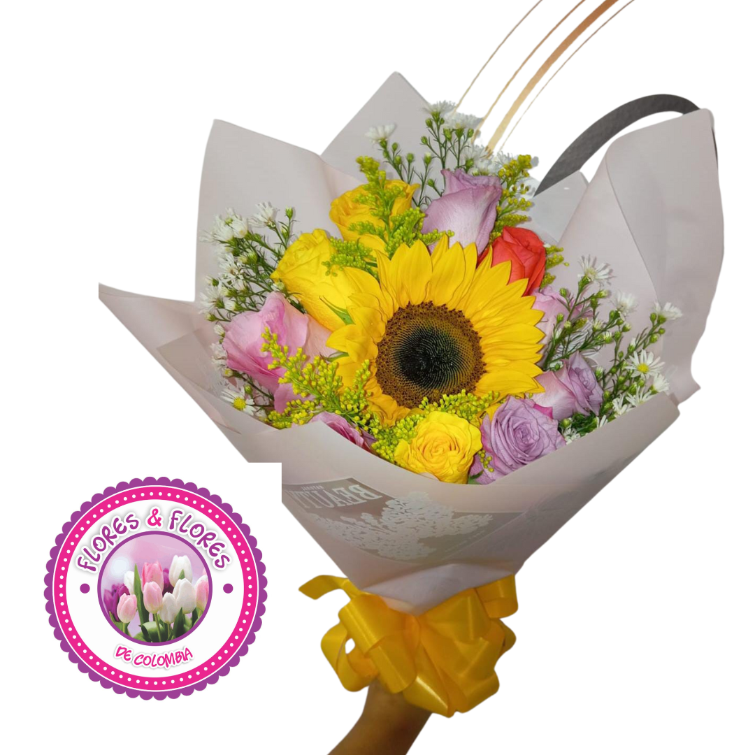 CONO DE AMOR