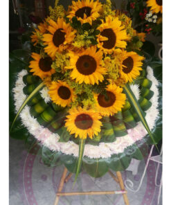Corona Especial